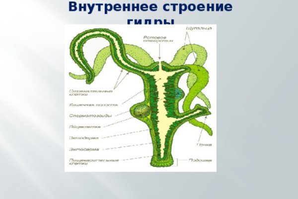 Кракен kr2web in сайт официальный