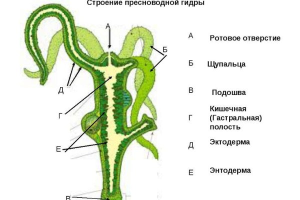 Кракен найти сайт